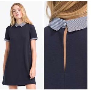 Zara Trafaluc Navy A-line Dress w/ Striped Collar